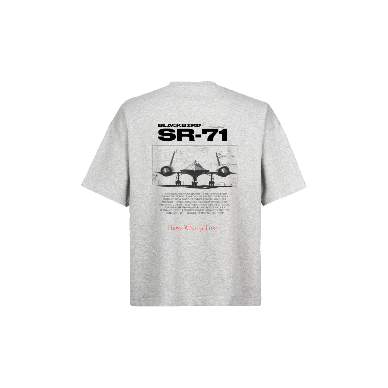 SR71 Light Gray Marl Tee