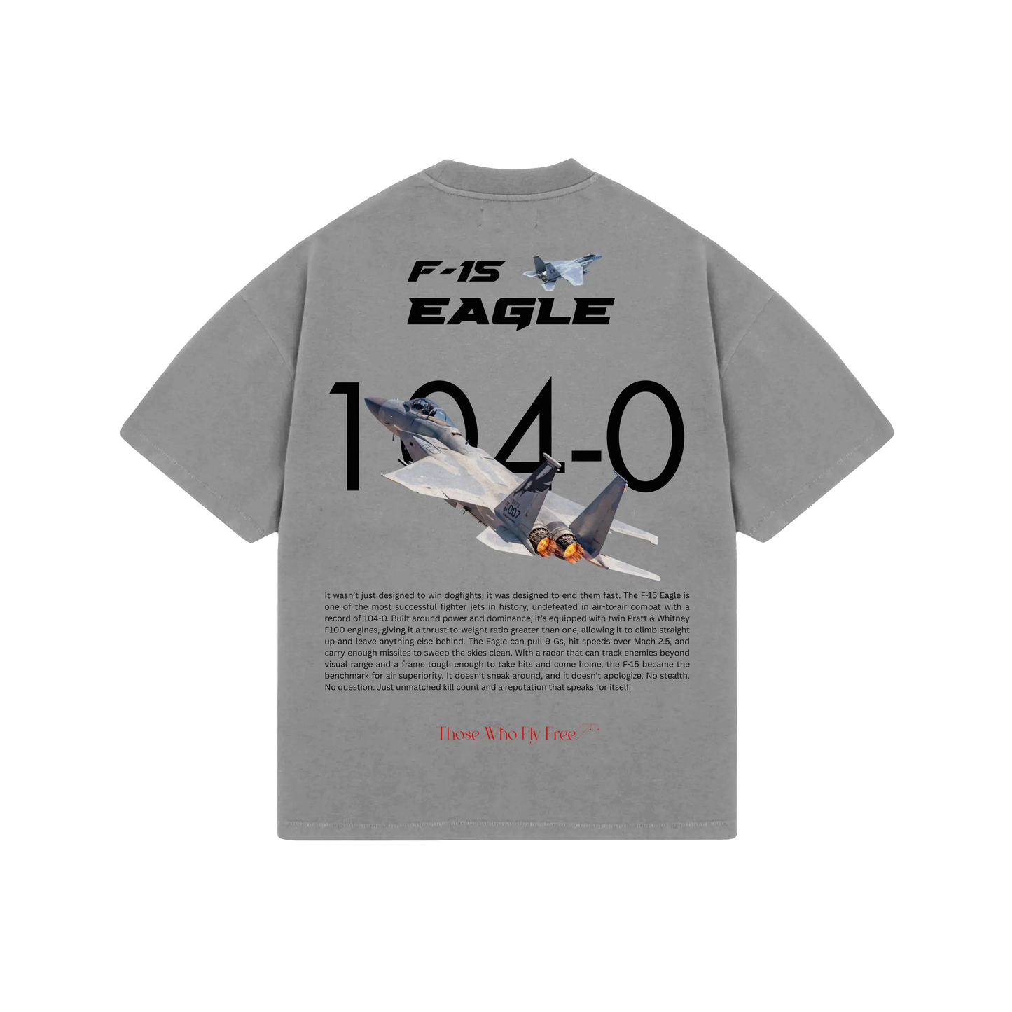 F-15 Eagle Oversized Tee