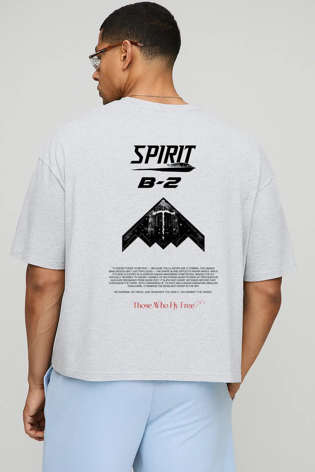 B2 Spirit Stealth Bomber light gray marl tee