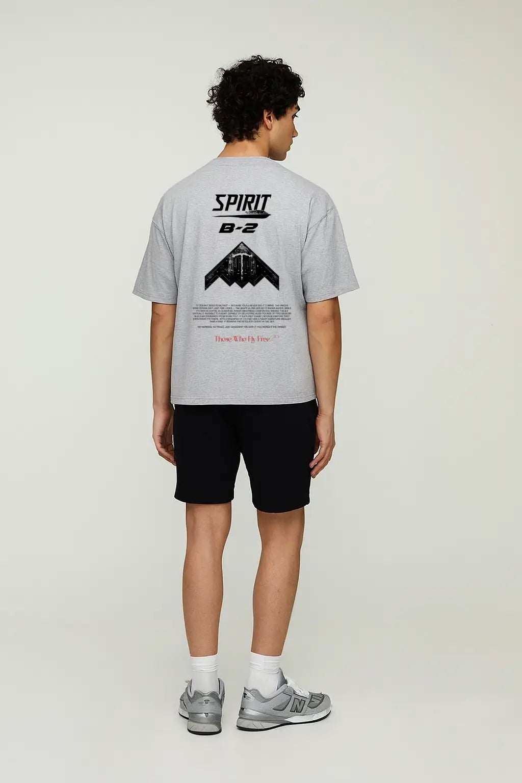 B2 Spirit Stealth Bomber light gray marl tee
