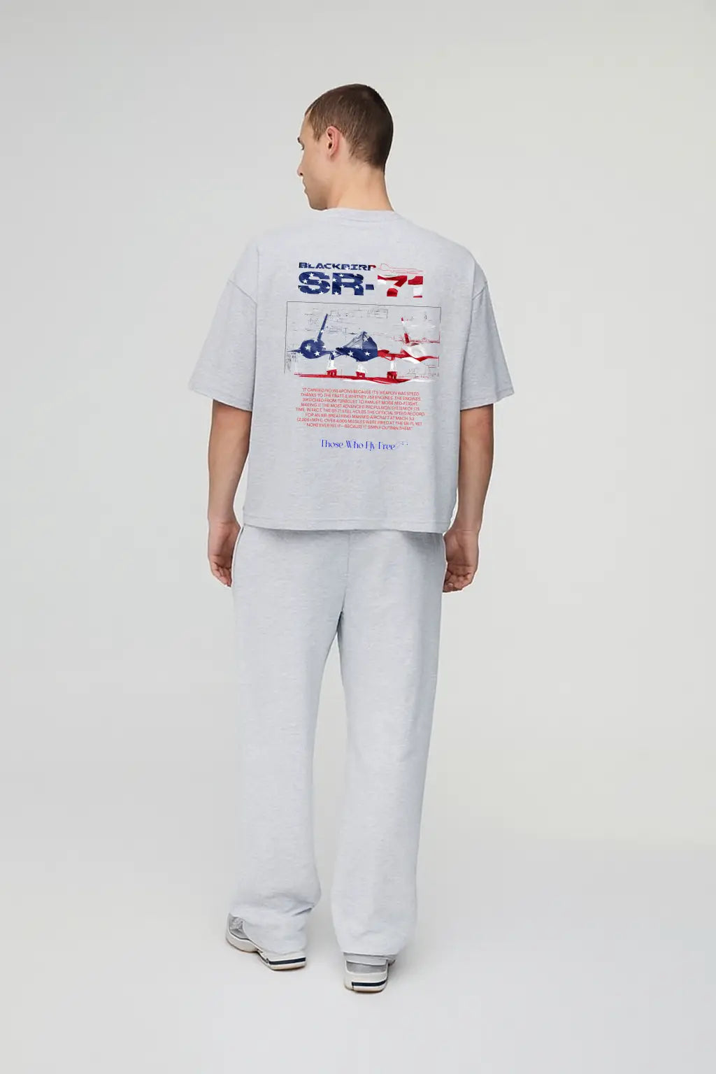 SR71 Light Gray Marl Tee USA Flag