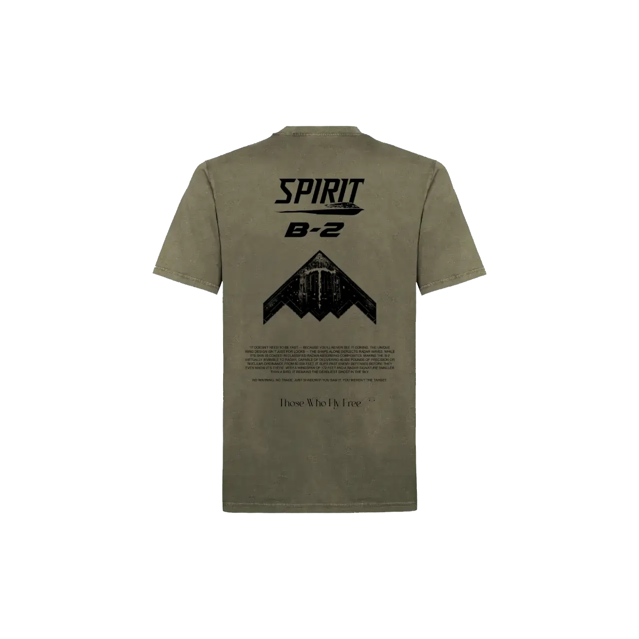 B2 Spirit Bomber Vintage Olive tee