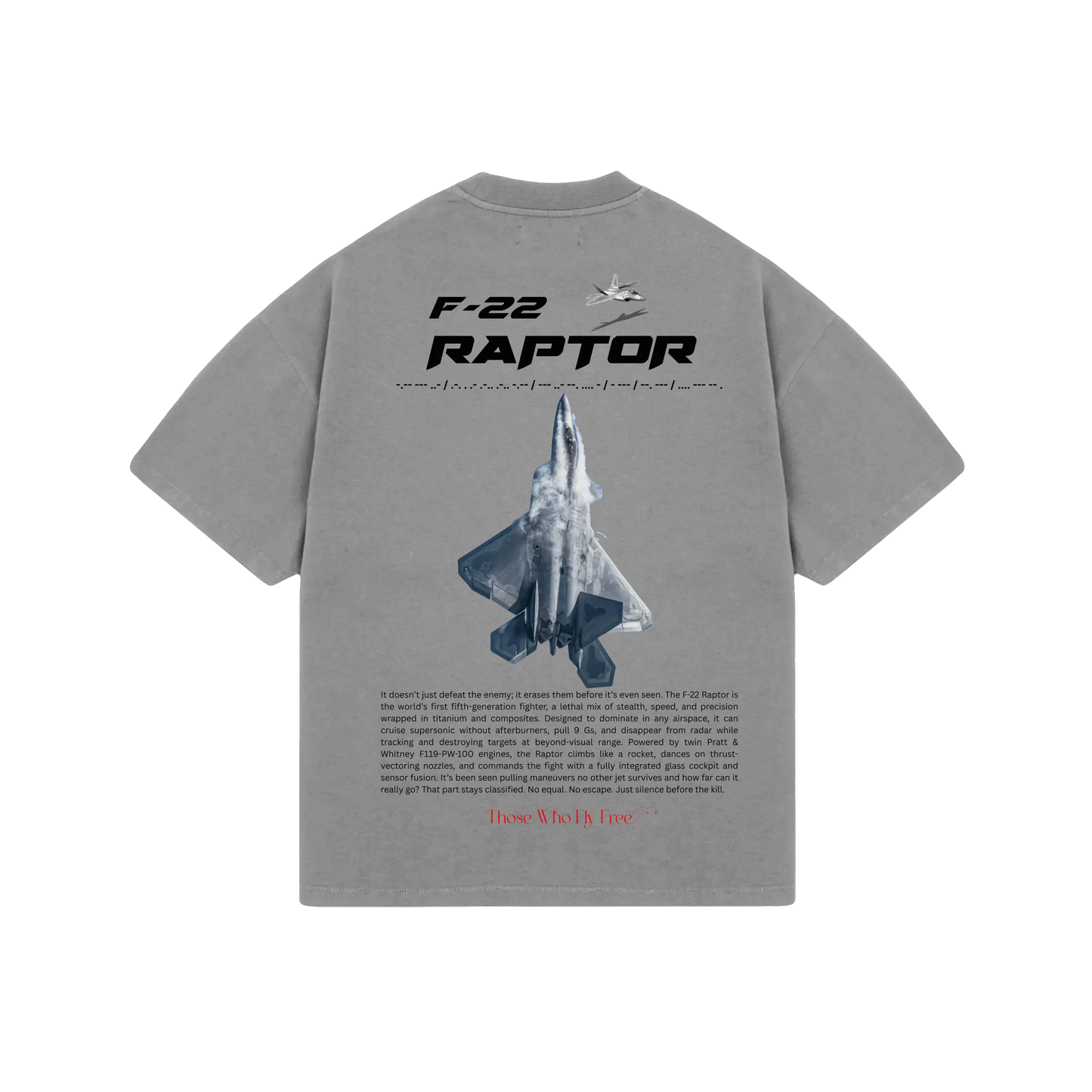 F-22 Raptor Oversized Vintage Gray tee