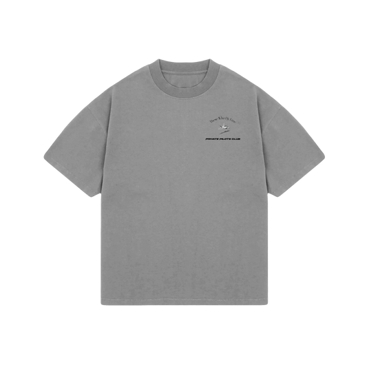 F-22 Raptor Oversized Vintage Gray tee