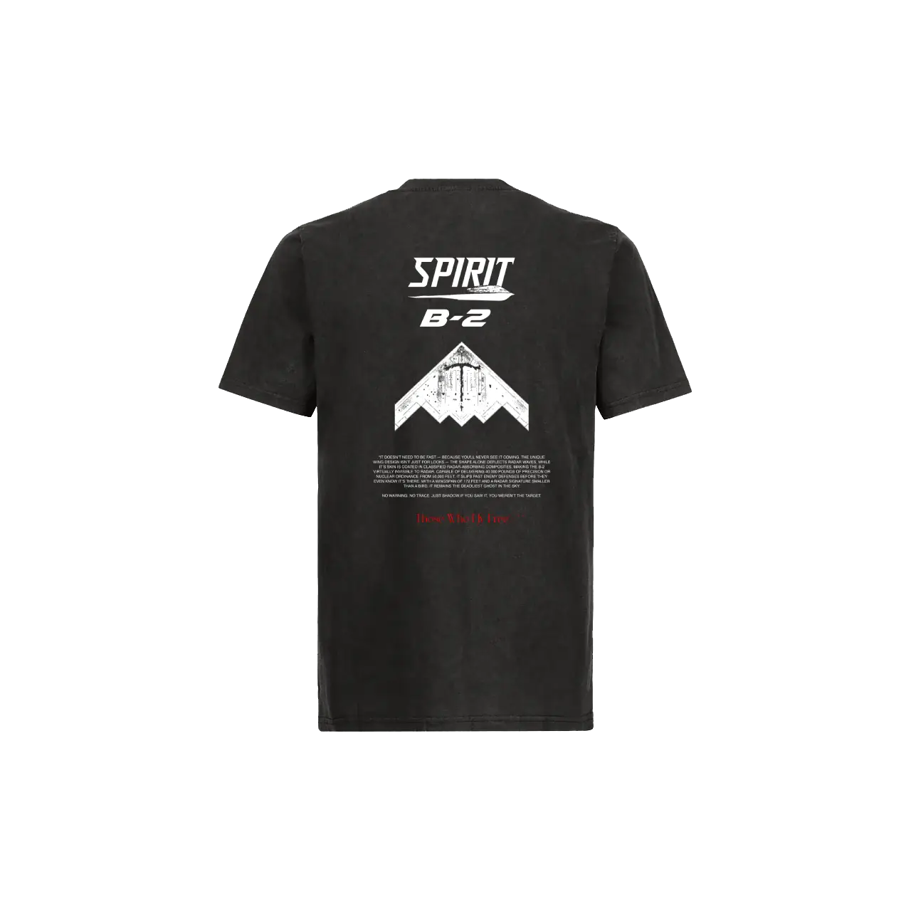 B2 Spirit Bomber Vintage Black tee